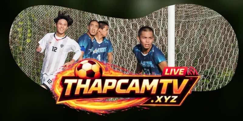 Tổng hợp dự đoán kèo trận Aalesund FK vs Viking ngày 27/07