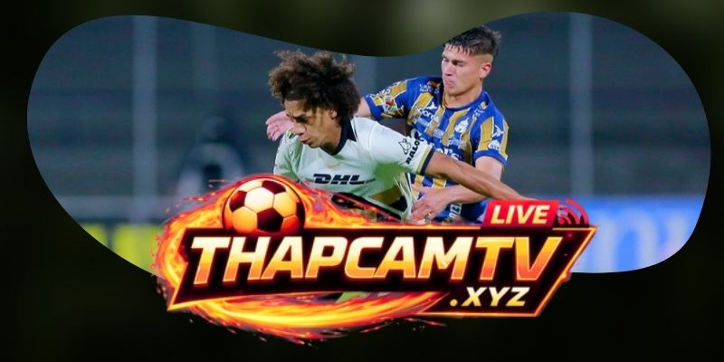 Tổng hợp dự đoán kèo trận Atletico San Luis vs Cruz Azul ngày 18/07