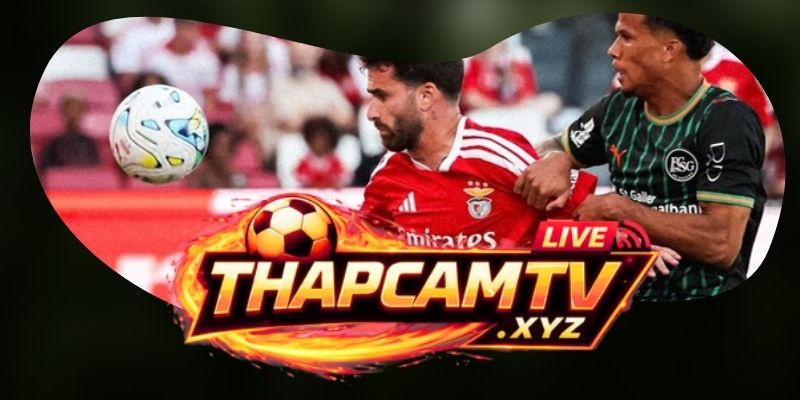 Benfica và Viseu bước vào cuộc đấu giữa áp lực và sự táo bạo