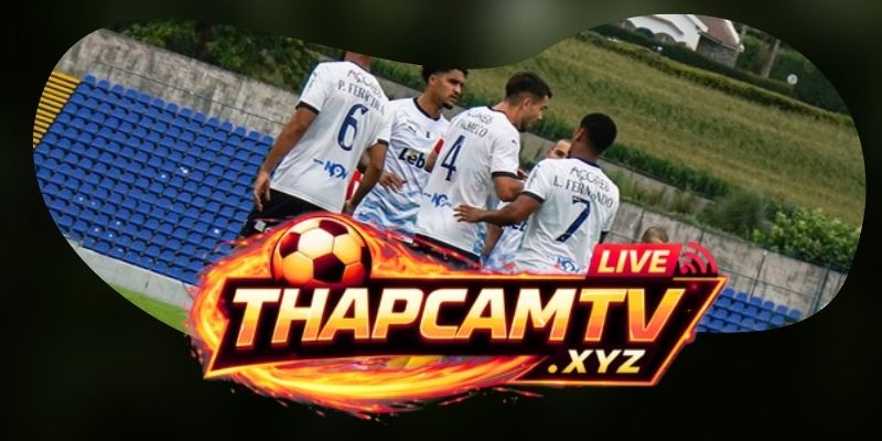 Tổng Hợp Dự Đoán Kèo Santa Clara Vs Nacional Da Madeira Ngày 11/08 Theo Cửa Khách