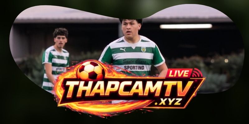 Tổng hợp dự đoán kèo trận Viseu vs Santa Clara ngày 16/08 theo thế cân bằng